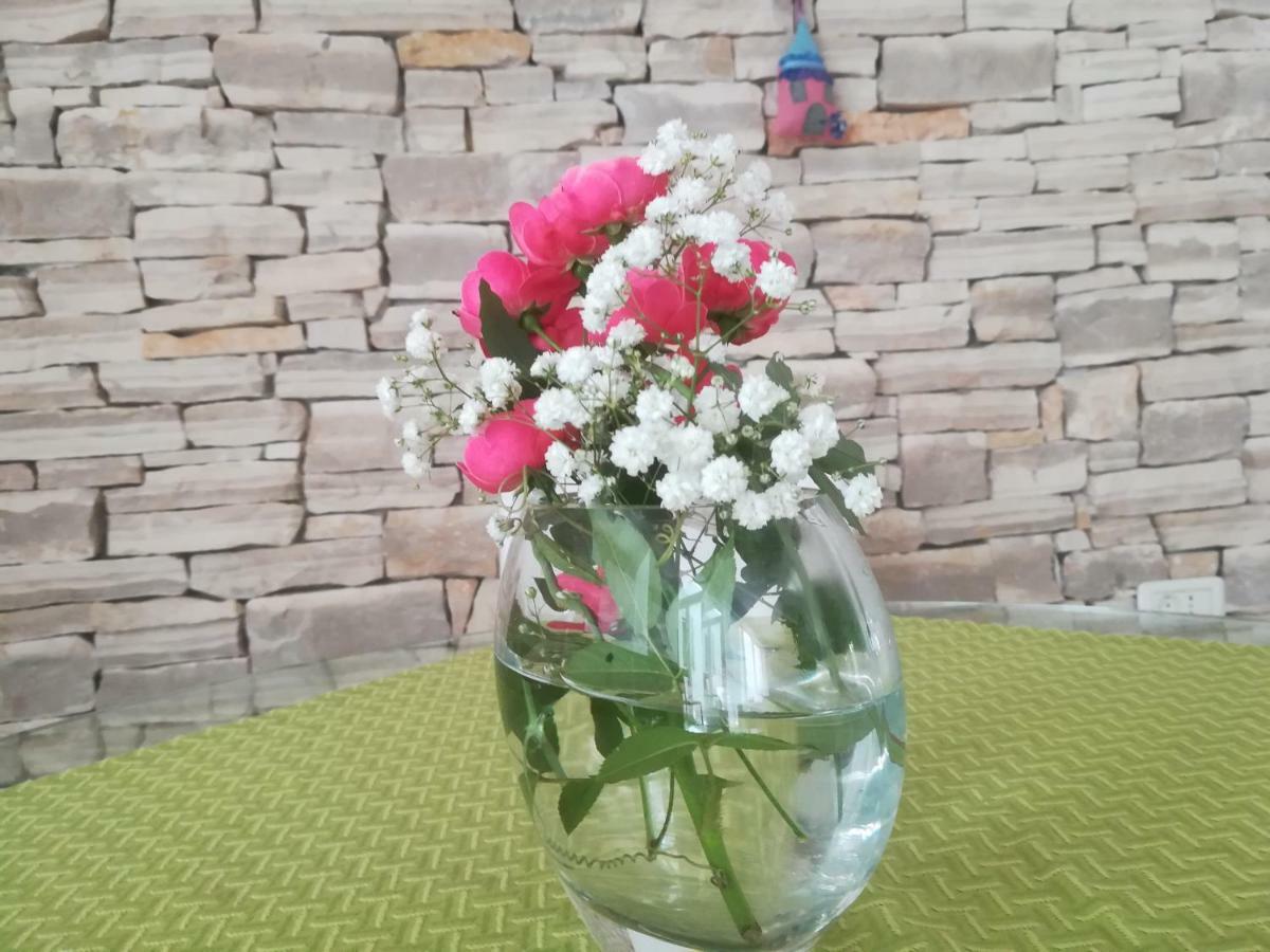 Apartma Zalka Izola Esterno foto