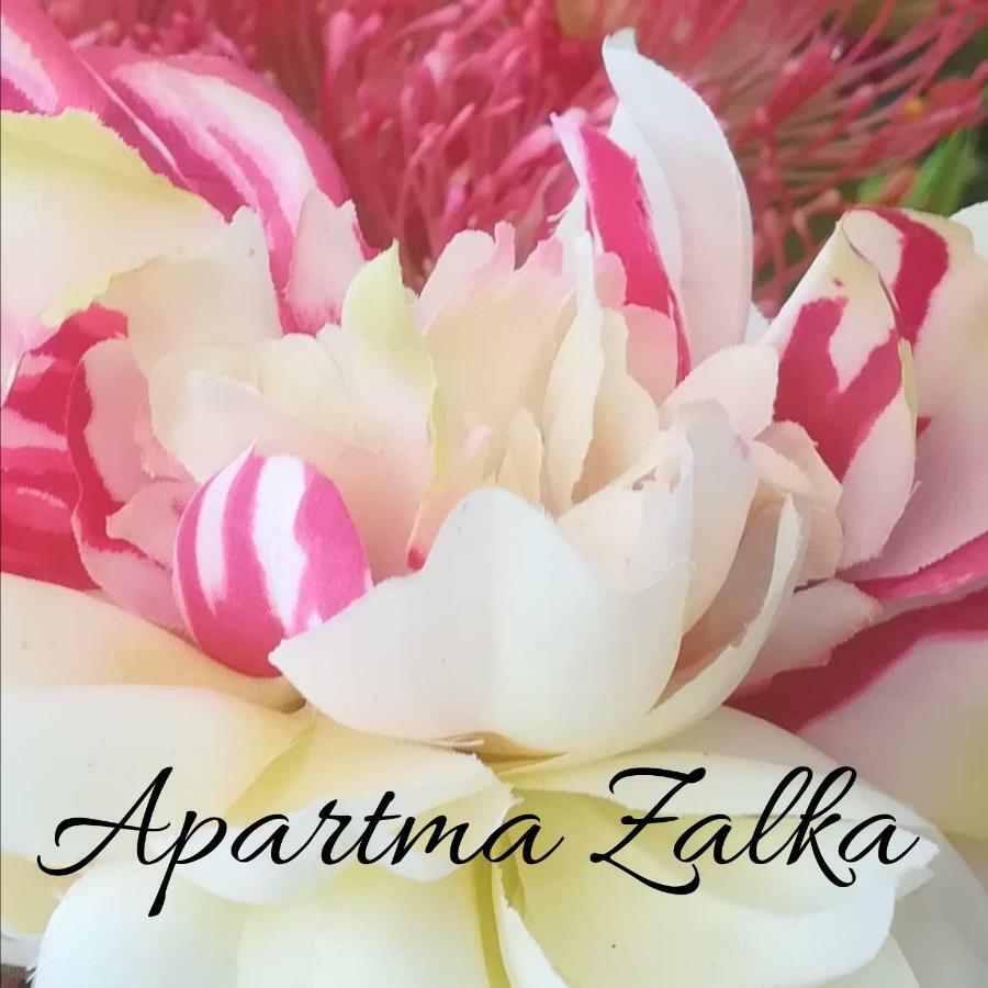 Apartma Zalka Izola Esterno foto